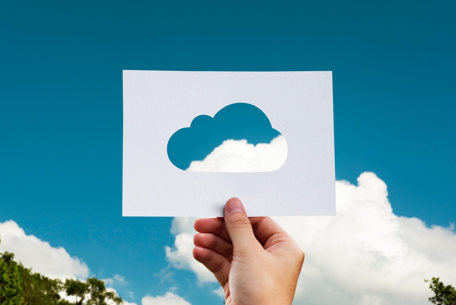 Cloud File Sharing: What You Should Know About The Top 4 Storage